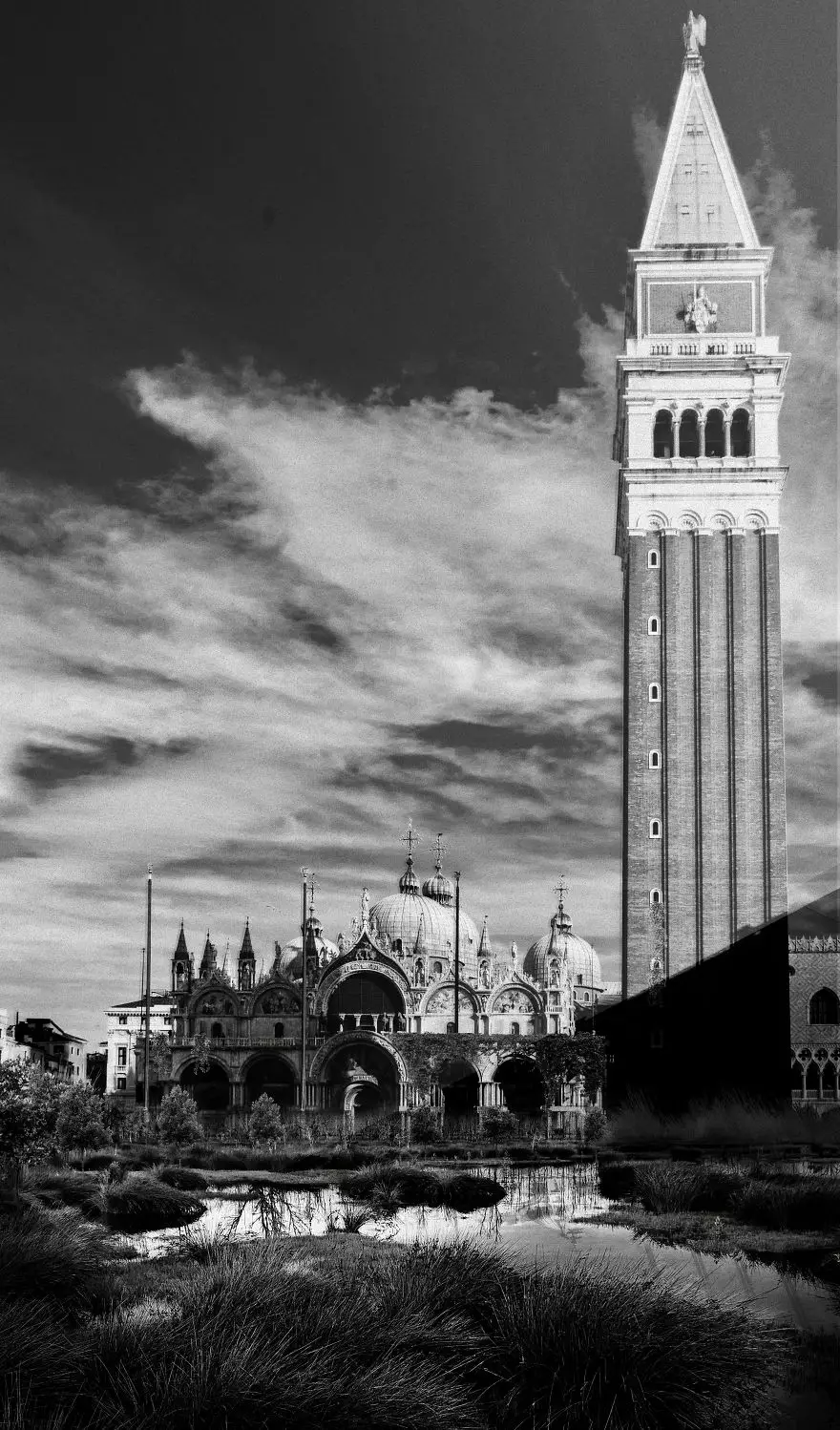 Gambaran jika karantina tidak pernah berakhir  boredpanda