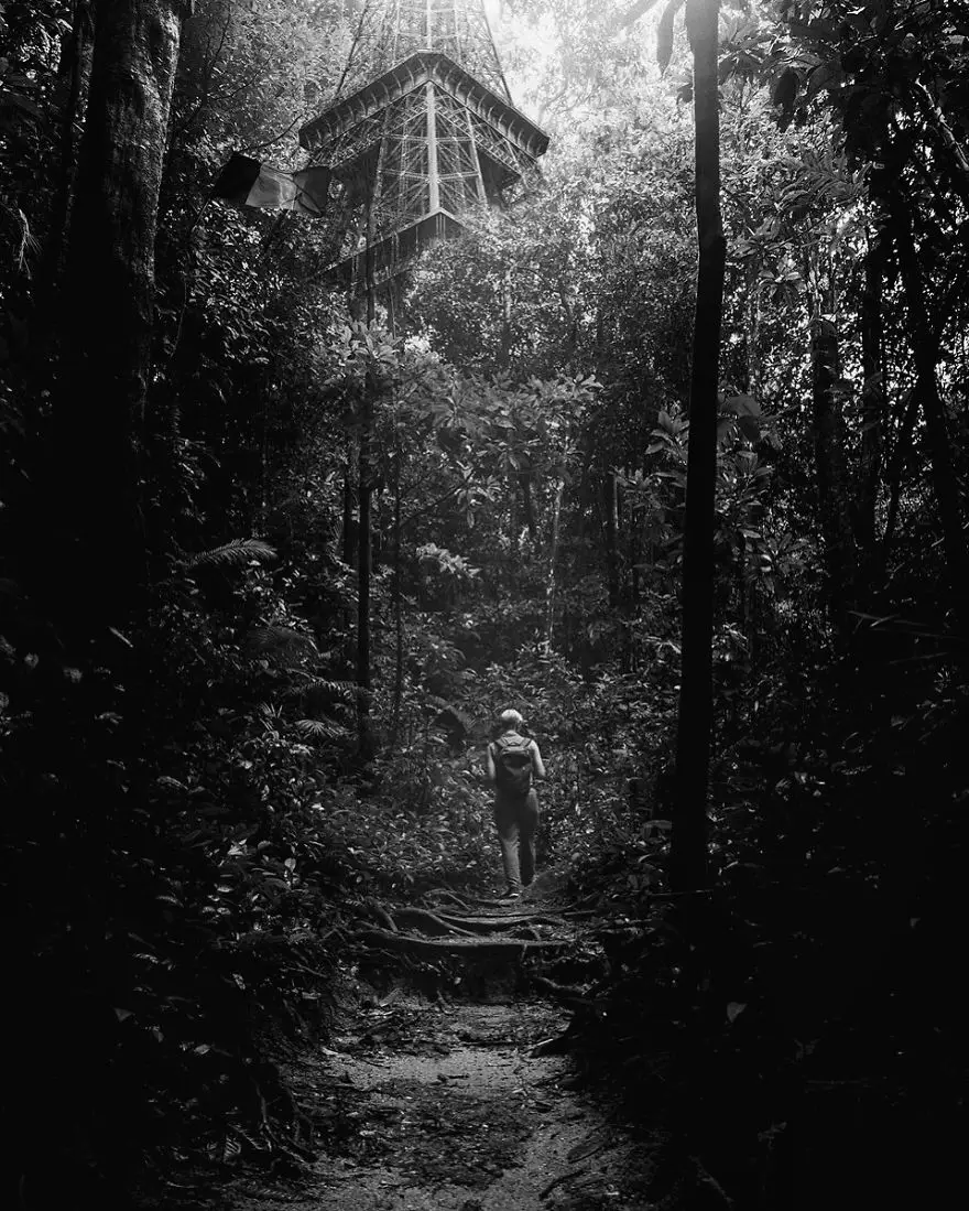 Gambaran jika karantina tidak pernah berakhir  boredpanda