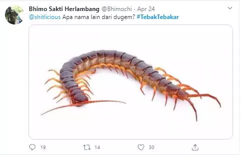 cuitan tebak-tebakan receh  Twitter cuitan tebak-tebakan receh  Twitter