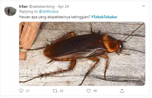 cuitan tebak-tebakan receh  Twitter cuitan tebak-tebakan receh  Twitter