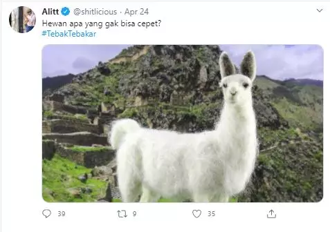 cuitan tebak-tebakan receh  Twitter cuitan tebak-tebakan receh  Twitter