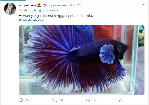 cuitan tebak-tebakan receh  Twitter cuitan tebak-tebakan receh  Twitter