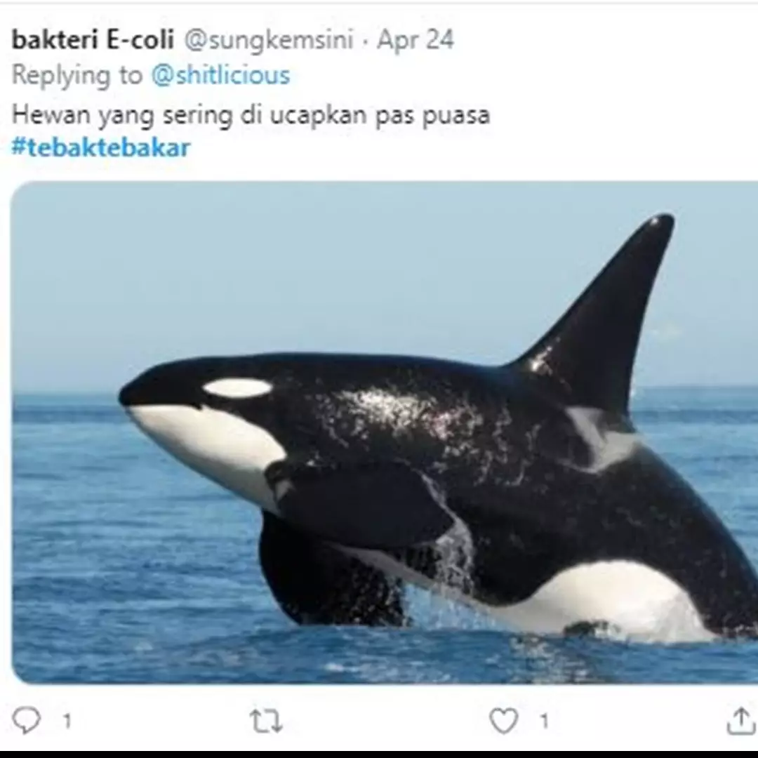 15 Cuitan tebak-tebakan 'hewan' ini bikin kamu mengangguk setuju