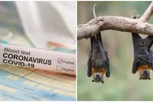 AS laporkan 50.439 kematian akibat virus corona