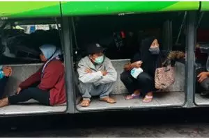 Viral pemudik nekat sembunyi di bagasi bus, ini faktanya