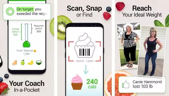 Sedang diet, 5 berbagai sumber