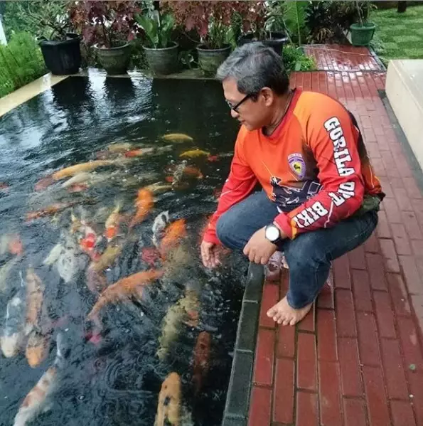 Pesona Widi Dwinanda PPT Berbagai sumber