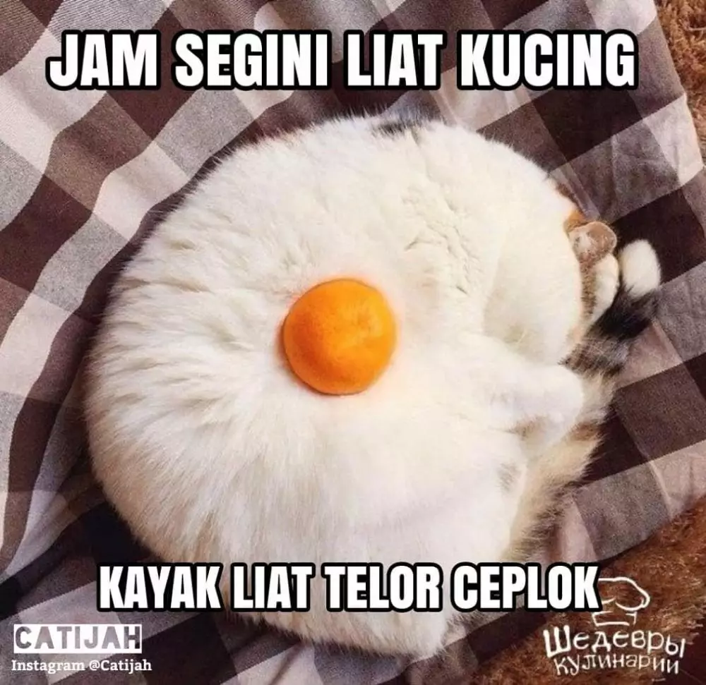 meme lucu kurang fokus pas puasa © 2020 1cak.com