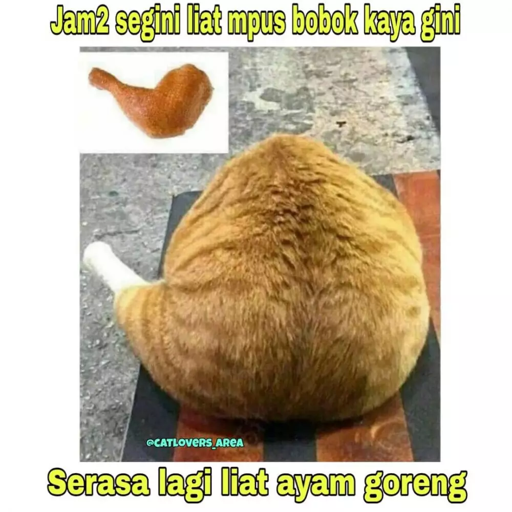 meme lucu kurang fokus pas puasa © 2020 1cak.com