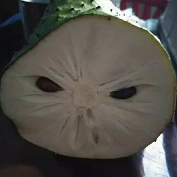 potret seram benda sehari-hari © 2020 instagram.com potret seram benda sehari-hari © 2020 instagram.com