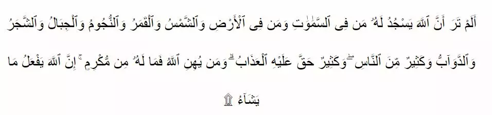 Tata cara lengkap sujud tilawah bersama arti © 2020 brilio.net