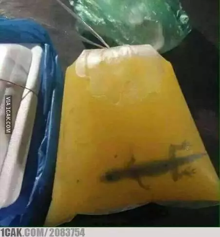 menu buka puasa kocak Berbagai sumber 