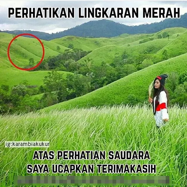 meme salah potret berbagai sumber meme salah potret berbagai sumber