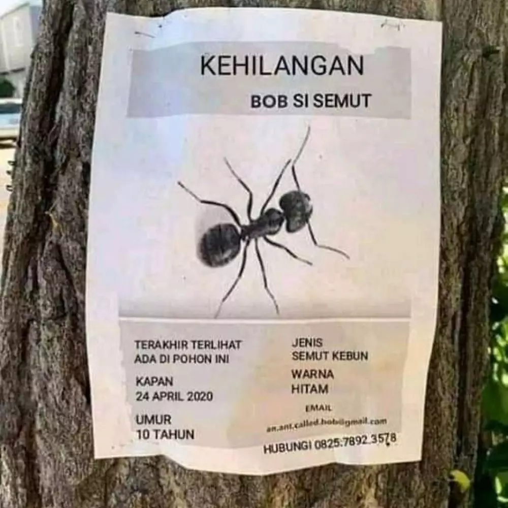 tulisan spanduk salah tempat © 2020 1cak.com