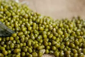 Cara mudah mengolah kacang hijau untuk mengatasi jerawat membandel