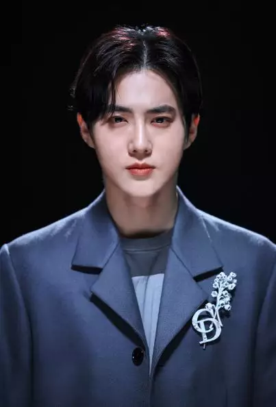 Transformasi suho EXO Twitter