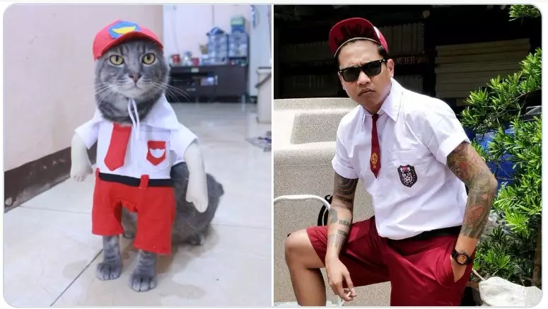 Cocoklogi tingkah seleb dengan kucing Twitter/@gudsluks Cocoklogi tingkah seleb dengan kucing Twitter/@gudsluks