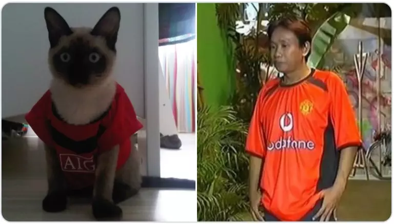 Cocoklogi tingkah seleb dengan kucing Twitter/@gudsluks Cocoklogi tingkah seleb dengan kucing Twitter/@gudsluks