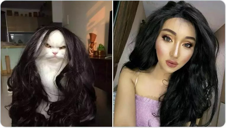 Cocoklogi tingkah seleb dengan kucing Twitter/@gudsluks Cocoklogi tingkah seleb dengan kucing Twitter/@gudsluks