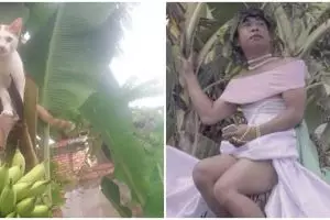 10 Cocoklogi tingkah seleb dengan kucing ini usilnya kebangetan