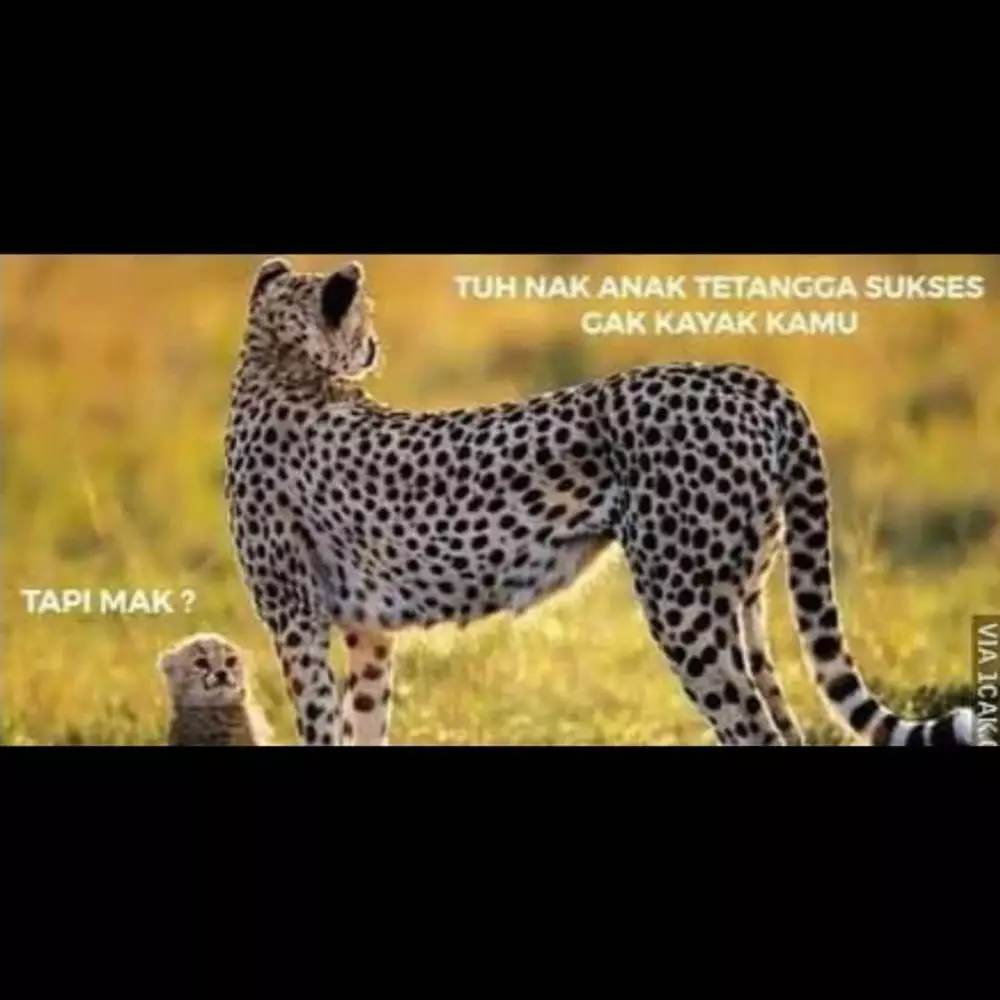 meme lucu obrolan sama emak © 2020 instagram.com