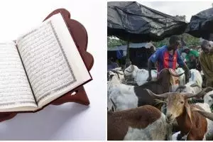 Kisah Nabi Ismail dan awal mula ibadah kurban