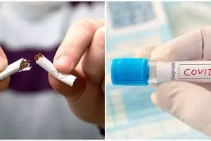 Riset Prancis sebut 80% perokok lebih tahan banting kena corona