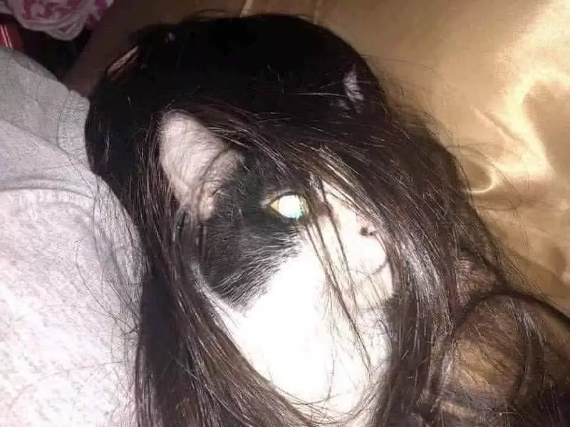 potret mirip hantu gagal merinding © 2020 instagram.com