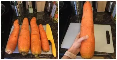 Potret sayuran dan buah besar  Berbagai sumber  Potret sayuran dan buah besar  Berbagai sumber