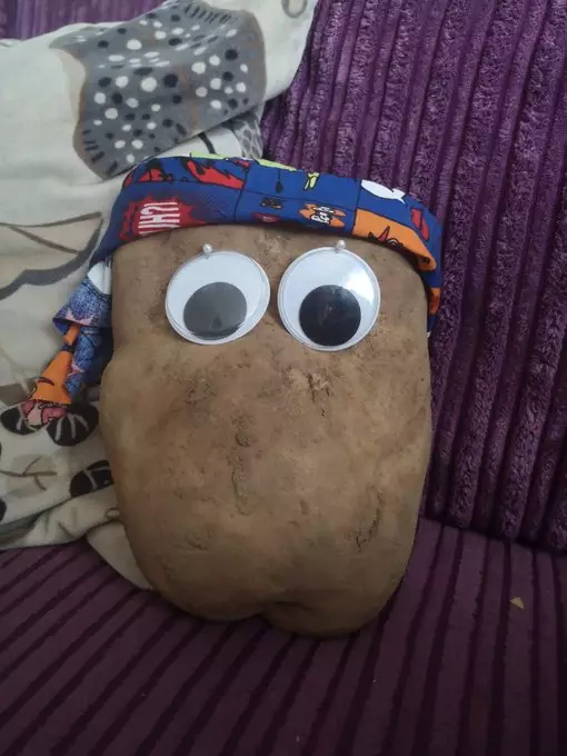 Potret sayuran dan buah besar  Berbagai sumber  Potret sayuran dan buah besar  Berbagai sumber