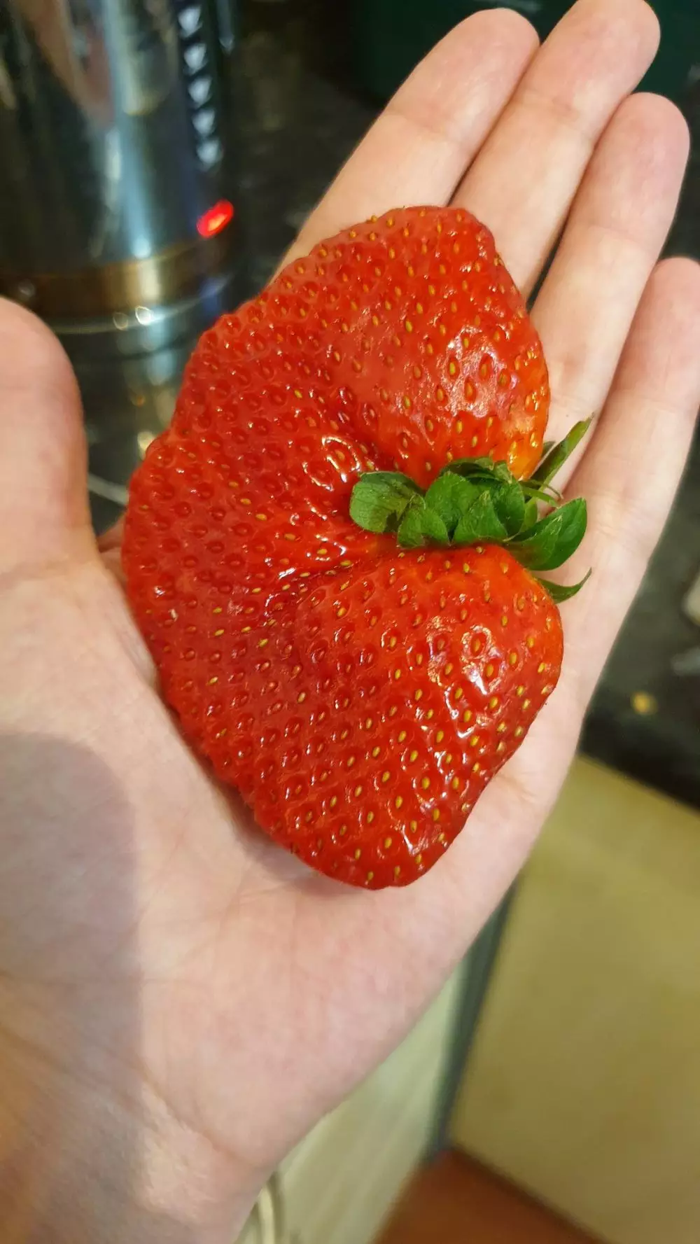 Potret sayuran dan buah besar  Berbagai sumber  Potret sayuran dan buah besar  Berbagai sumber