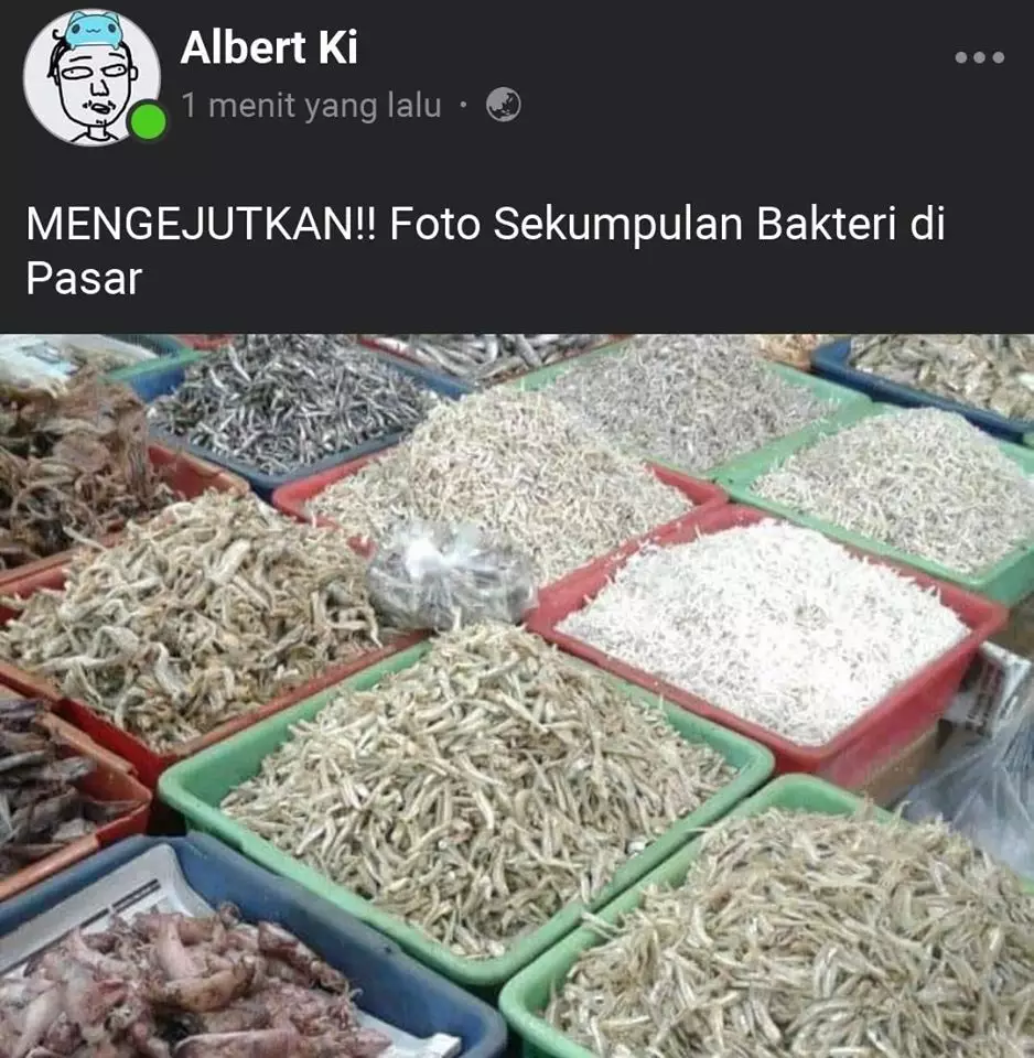 Status plesetan ini absurd Facebook/ Perecehan Stekstual