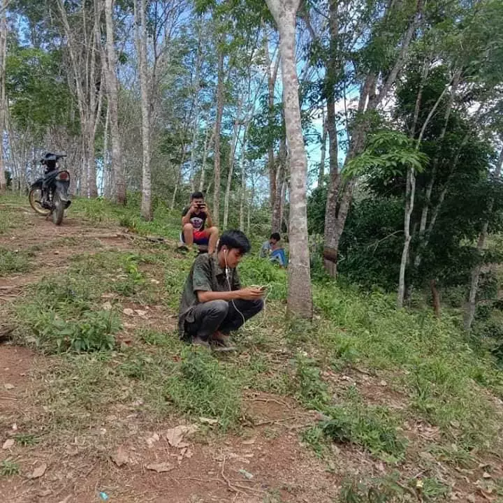 perjuangan mahasiswa kuliah online facebook