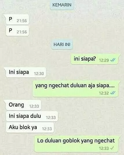 chat lucu dikacangin gebetan © 2020 instagram.com