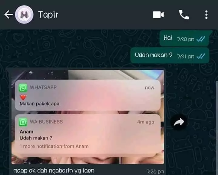 chat lucu dikacangin gebetan © 2020 instagram.com