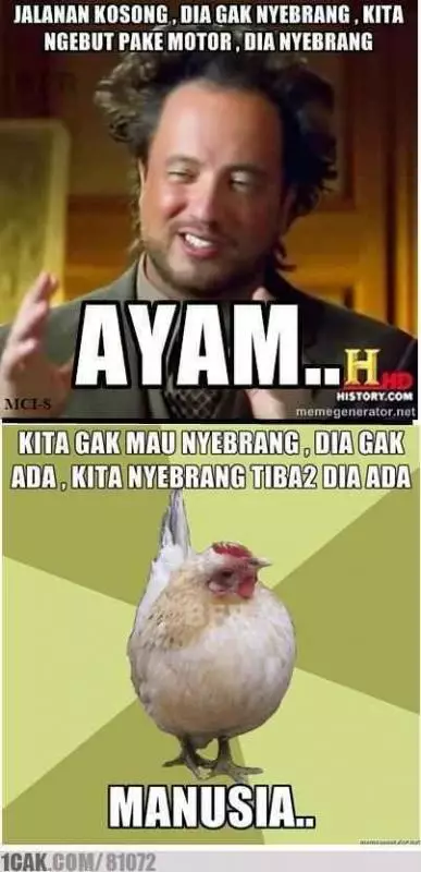 meme lucu ayam berbagai sumber meme lucu ayam berbagai sumber