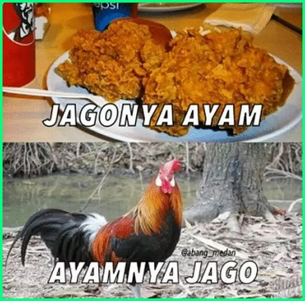 meme lucu ayam berbagai sumber meme lucu ayam berbagai sumber