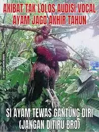 meme lucu ayam berbagai sumber meme lucu ayam berbagai sumber