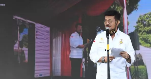 4 Fakta potensi Eucalyptus © 2020 brilio.net