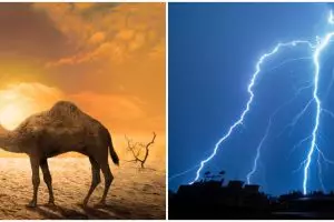 Kisah Nabi Saleh memunculkan unta betina dan azab bagi kaum Tsamud