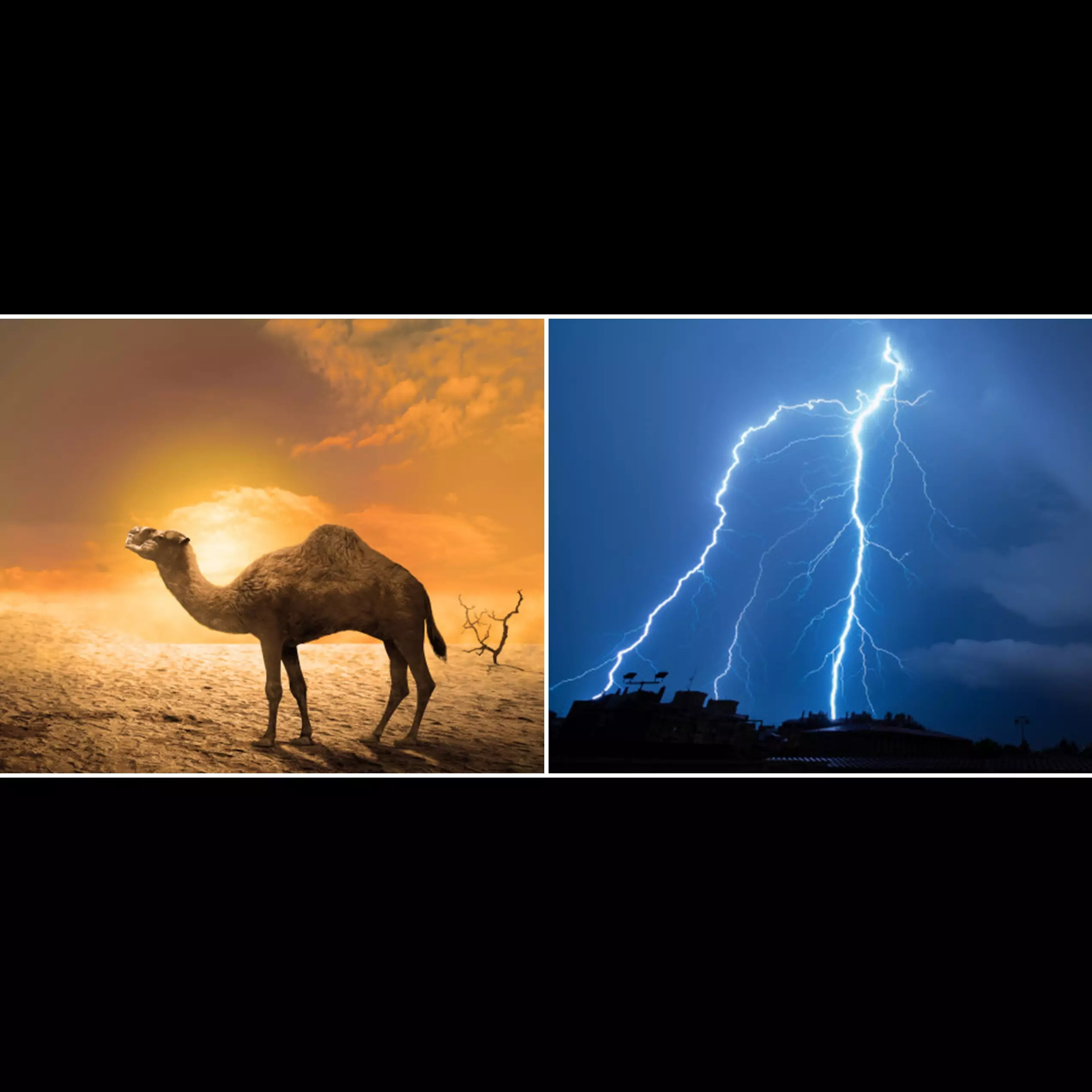 Kisah Nabi Saleh memunculkan unta betina dan azab bagi kaum Tsamud