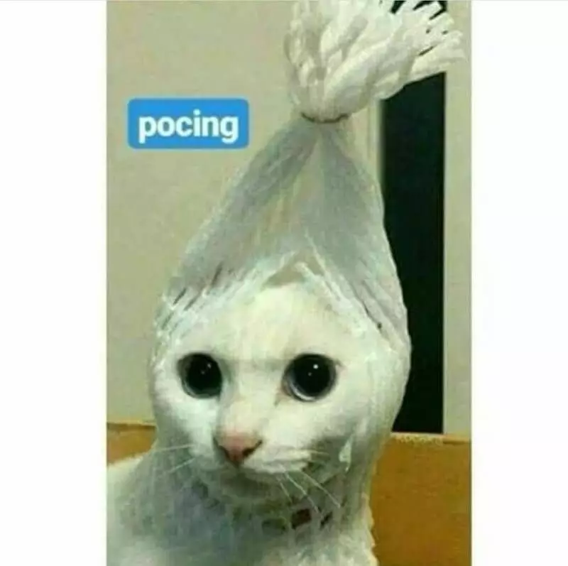 potret nyeleneh gagal seram © 2020 instagram.com potret nyeleneh gagal seram © 2020 instagram.com