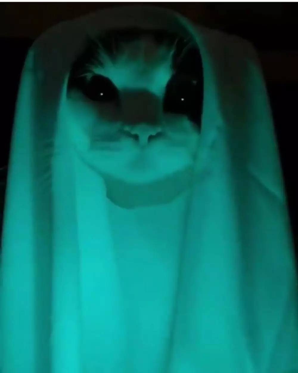 potret nyeleneh gagal seram © 2020 instagram.com potret nyeleneh gagal seram © 2020 instagram.com