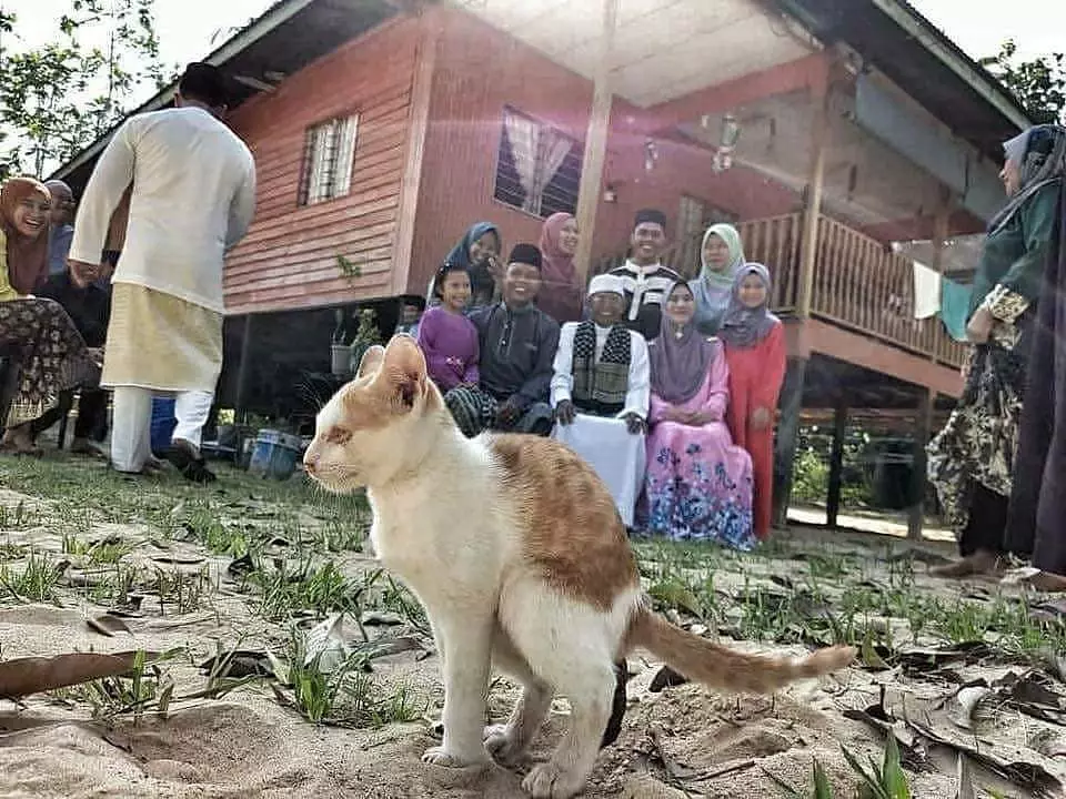 otret nyeleneh photobomb © 2020 1cak.com otret nyeleneh photobomb © 2020 1cak.com