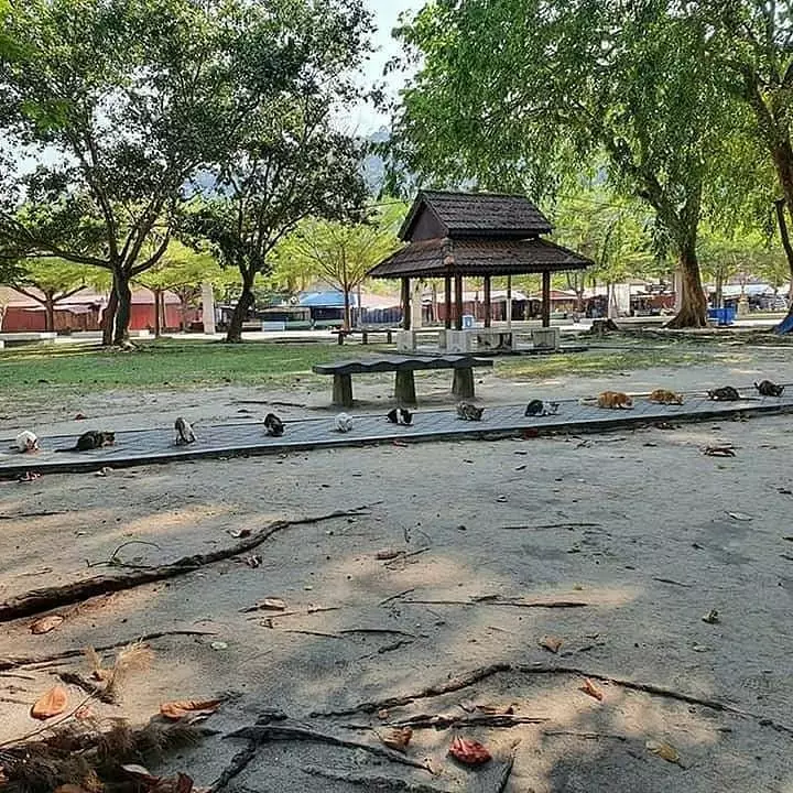 momen lika liku jaga jarak © 2020 instagram.com momen lika liku jaga jarak © 2020 instagram.com