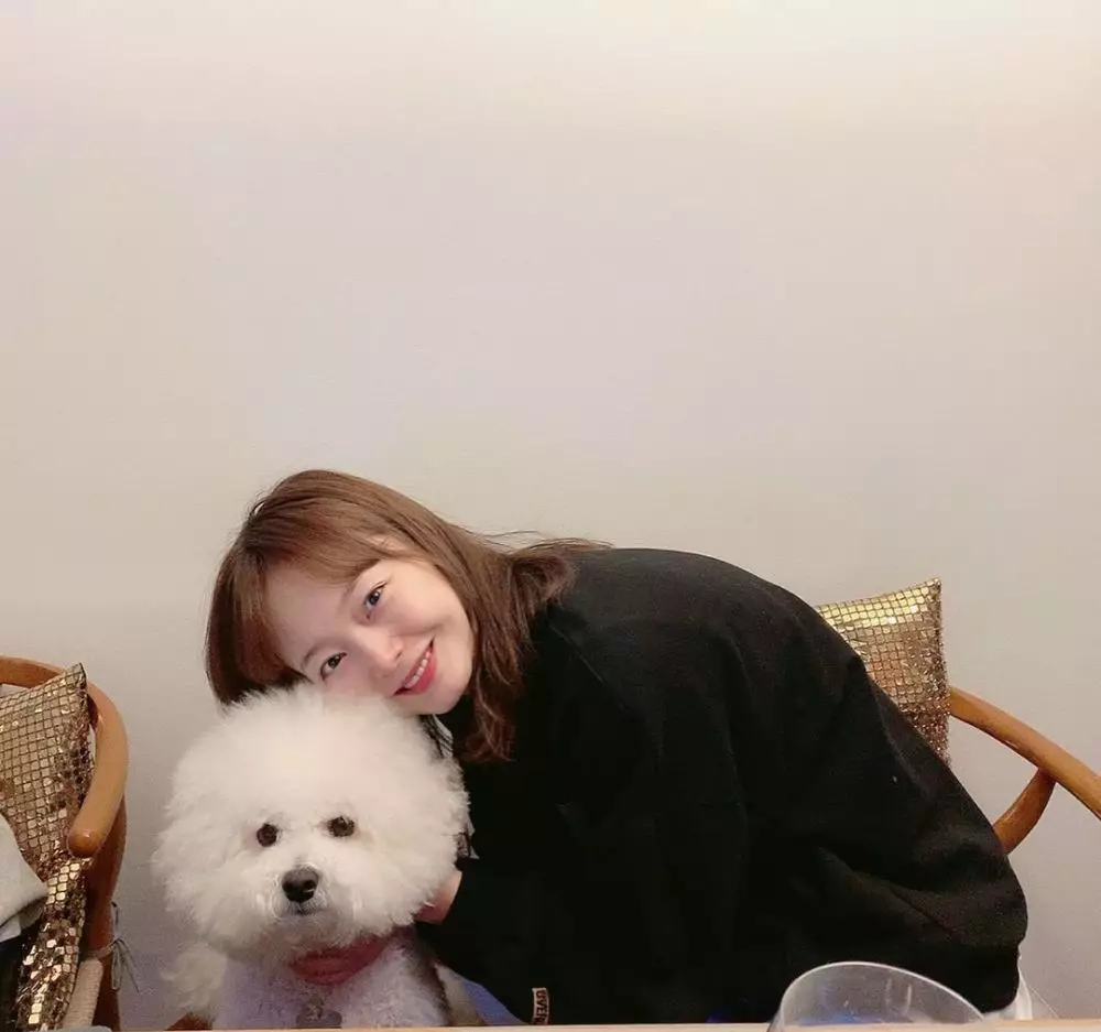 seleb korea hiatus Berbagai sumber 