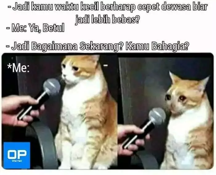 Meme masa kecil ingin cepat dewasa Berbagai sumber Meme masa kecil ingin cepat dewasa Berbagai sumber