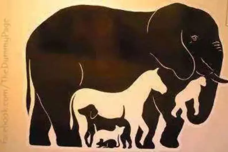 Tes IQ gambar dan jawabannya berbagai sumber