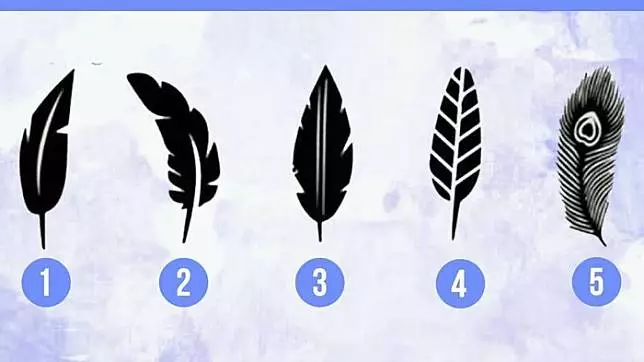 Tes IQ gambar dan jawabannya berbagai sumber