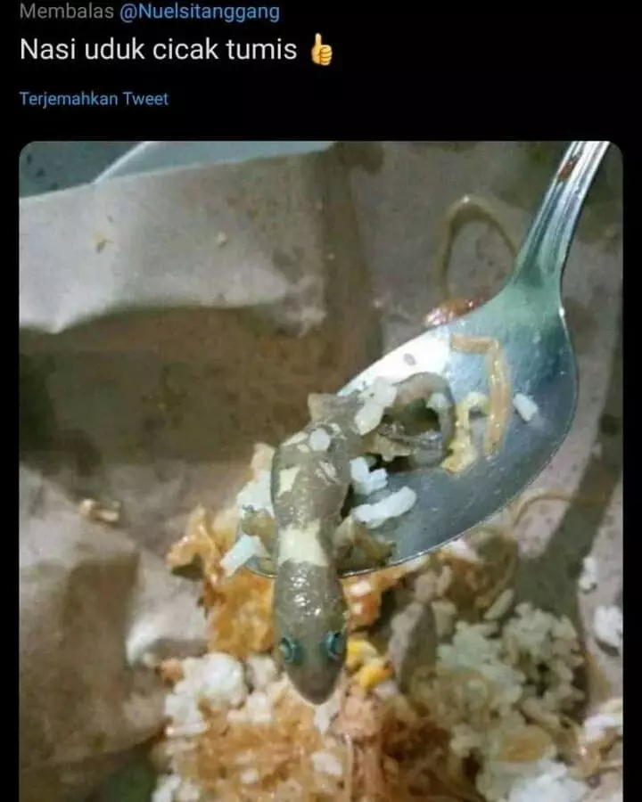 momen apes gagal makan © 2020 instagram.com momen apes gagal makan © 2020 instagram.com